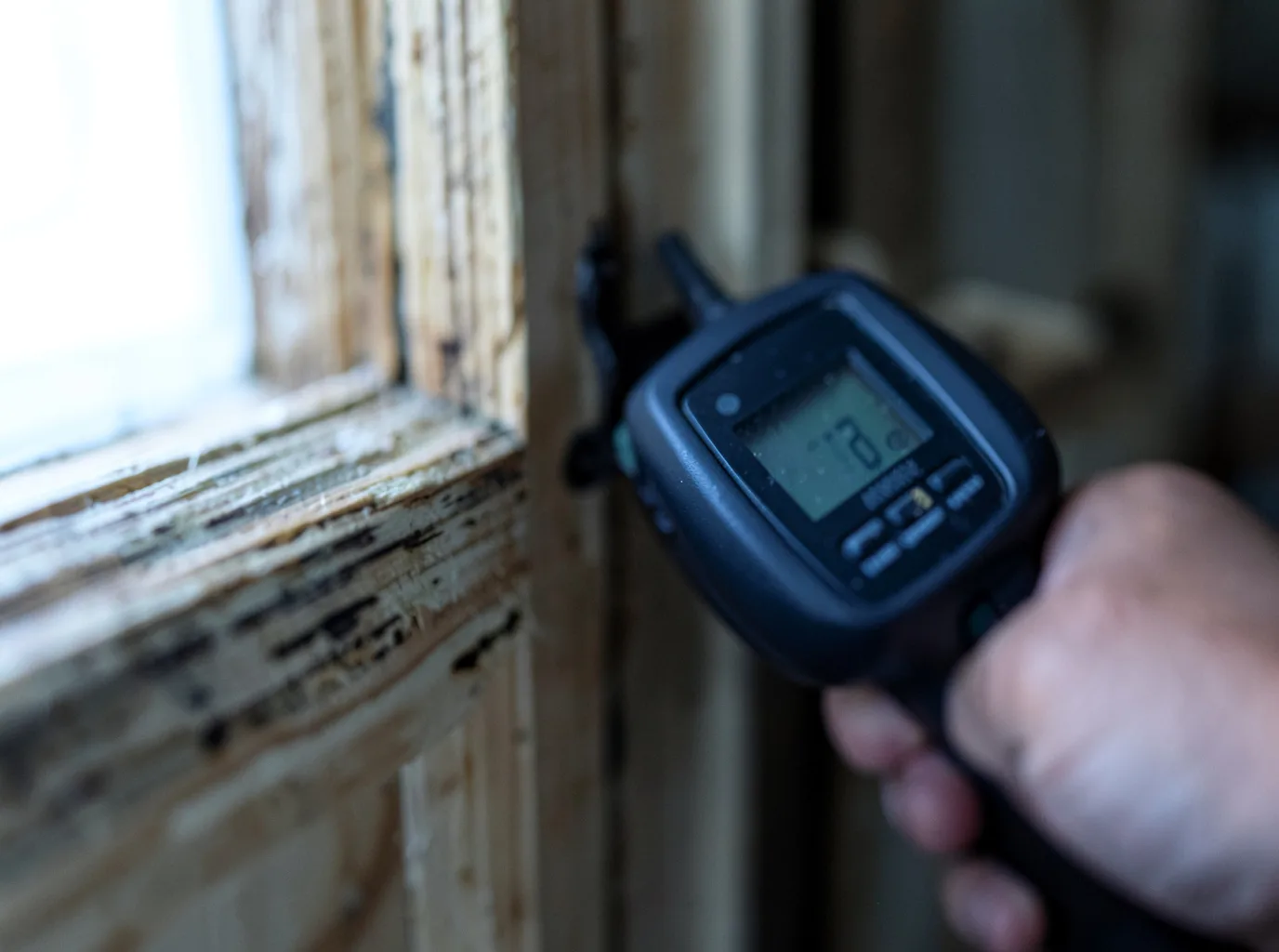 Moisture Inspection And Documentation in Loraine, TX